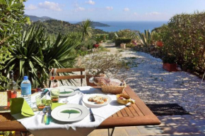Pretty Tiny House with sea view, Le Lavandou